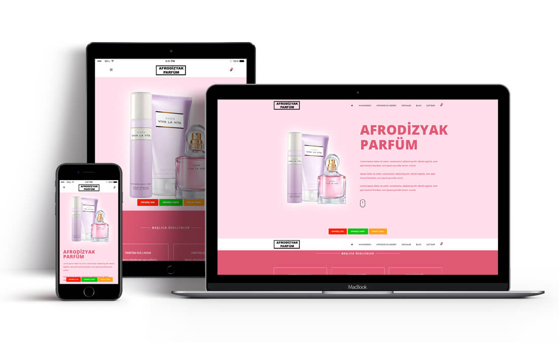 Tek Ürün Satış Yazılımı V2